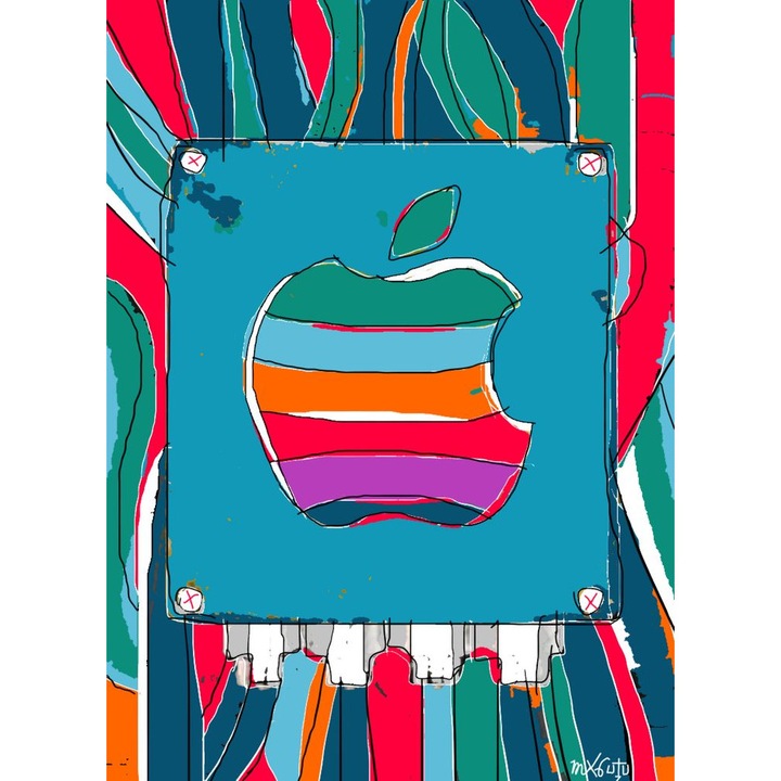 IT Predra 6, Grafic Design