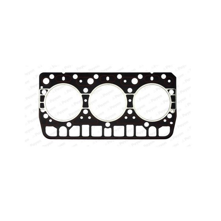 Garnitura chiuloasa Payen Renault