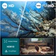 Televizor Philips LED 40PFS6000, 100 cm, Smart TV, Full HD, Clasa E