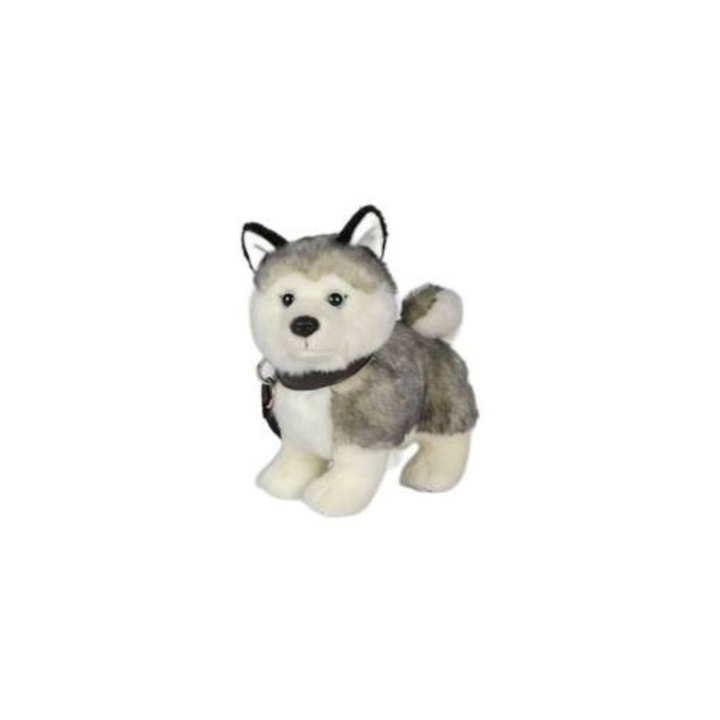 Husky plüssjáték, 23 cm, pórázzal, többszínű