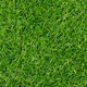 Covor Iarba Artificiala, Tapiso, Canyoo, 150x100 cm, Inaltime Fir 20 mm, Verde Suculent, Tip Gazon, Pentru Exteriorantiderapant, Rezistenta Uv, Trafic Intens, Rezistenta La Pete, Lavabil, Rezistenta La Intemperii, Impermeabil