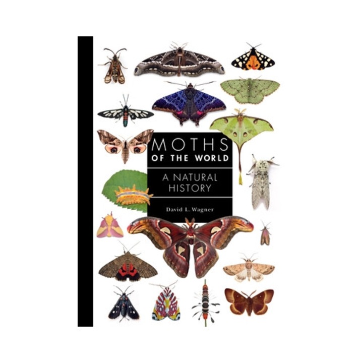 Moths Of The World: A Natural History - David Wagner