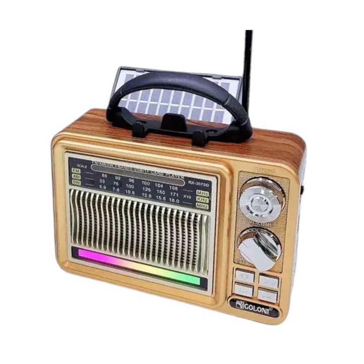 Radio portabil Tradesor RX-307SD cu panou pliabil, Bluetooth, aurie, 188x90x144mm