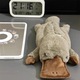 Penare din plus Platypus, 27x12cm, multifunctional, pentru scoala si calatorii