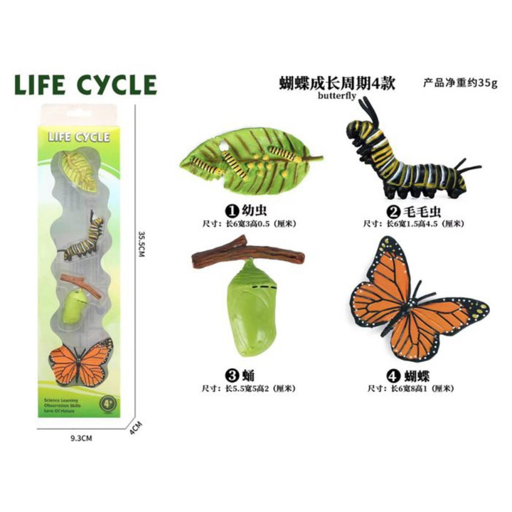 Set 4 Piese Ciclul Vietii Fluture - Figurine Educationale si Decorative