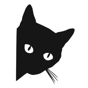 Accesorii auto tuning