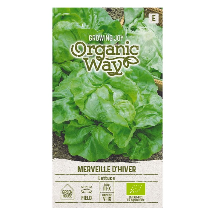 Seminte ecologice, Salata Merveille D'Hiver, Organic Way, plic, 2 grame