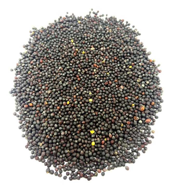 Ceai, Agrest, Seminte De Rapita Pentru gatit Si Salate, 100% Natural, Calitate Premium, Doypack, 50G g
