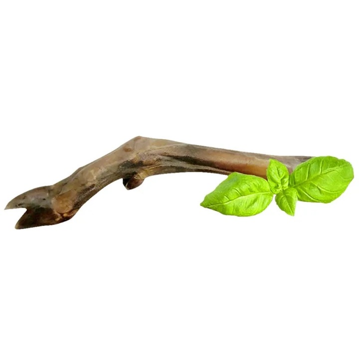 Recompensa pentru caini, copita naturala uscata de cerb, 30 cm, 120g, Petmax Maro