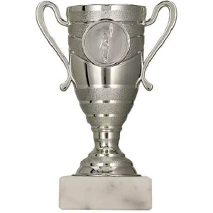 Cupe, trofee si medalii