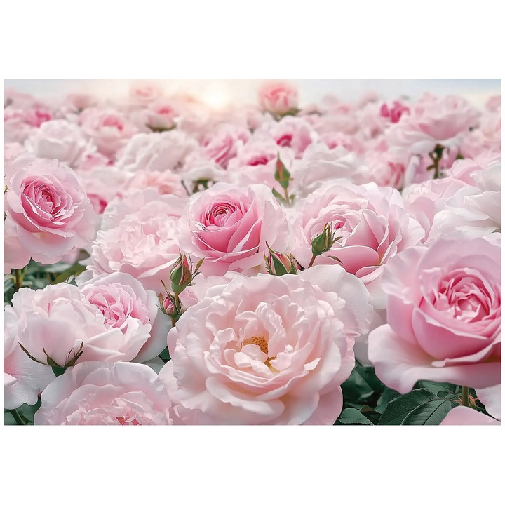 Фототапет, Цветя, Божури, 150x105 см, Модерен, Нетъкан, Тапет, За Спалня, Стая, Хол, Стена, Декорация, 15624VX3