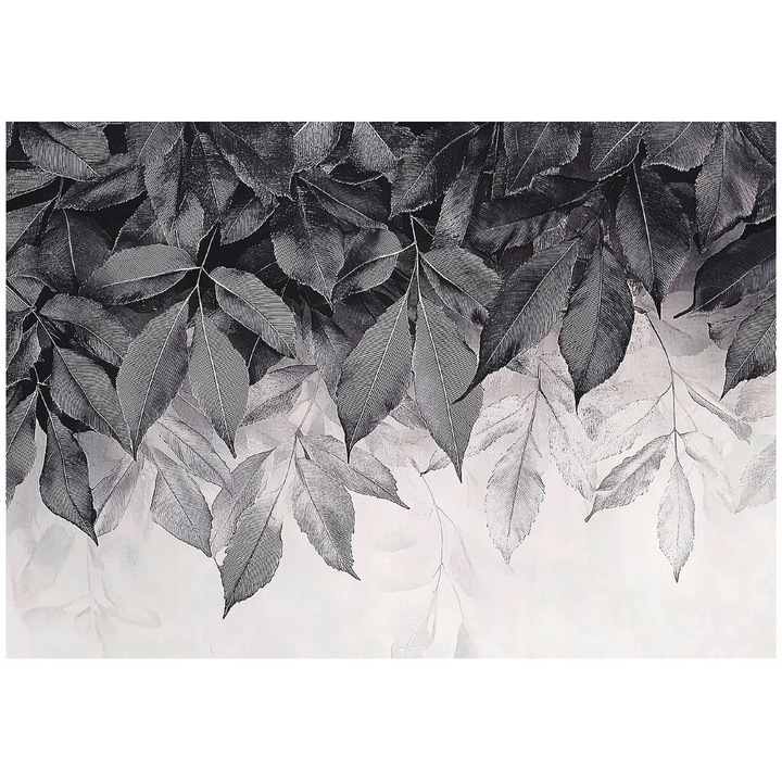 Fotótapéta, Levelek, Szürke, 300x210 cm, Modern, Nem szőtt, Tapéta, Hálószobába, Szoba, Nappali, Fal, Dekoráció, 15625VX6