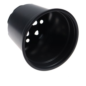 Bulbi, seminte si rasaduri