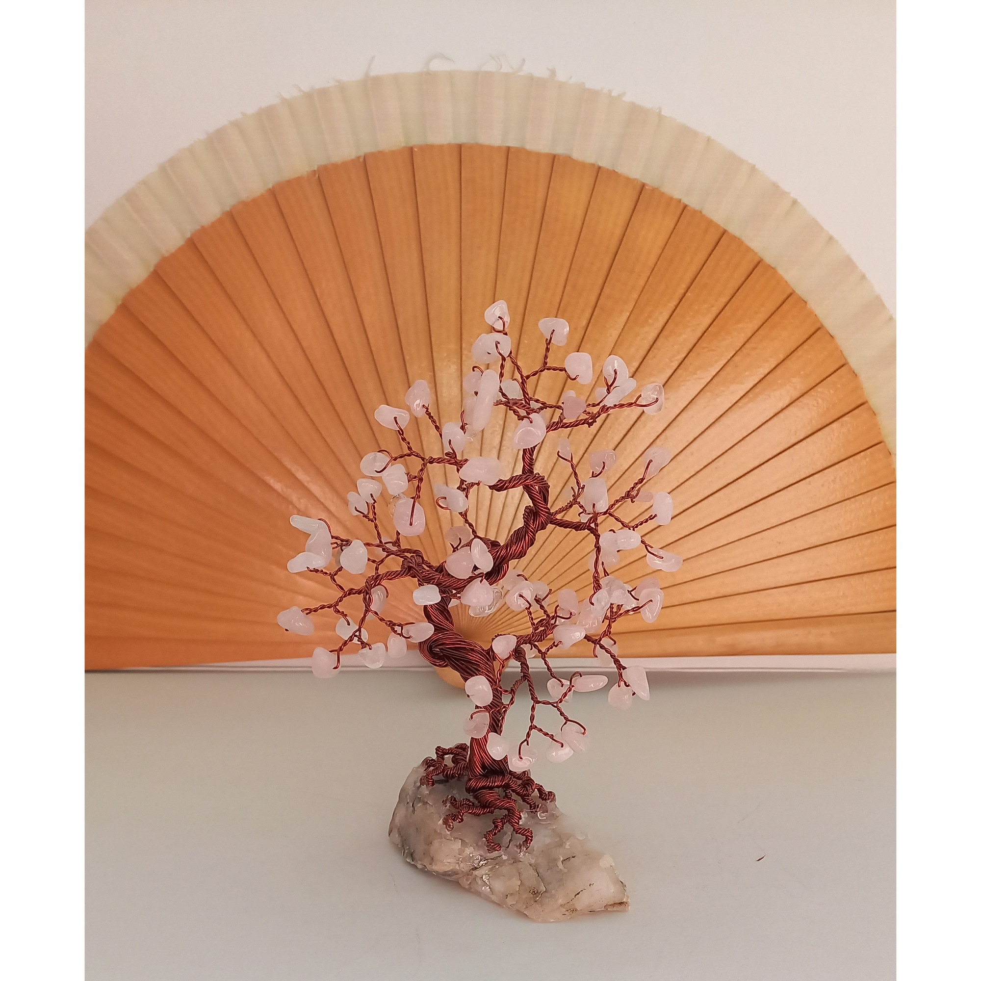 ginkgo bonsai indoor Ginkgo Bonsai 'Mekkens Mini' – B for Bonsai