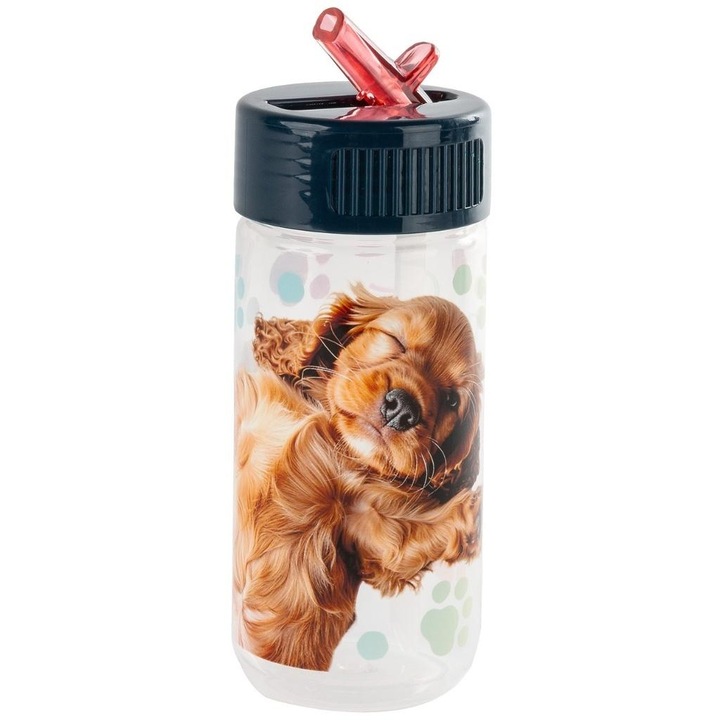 Бутилка Derform Cleo and Frank 44, 20.5x18.5см