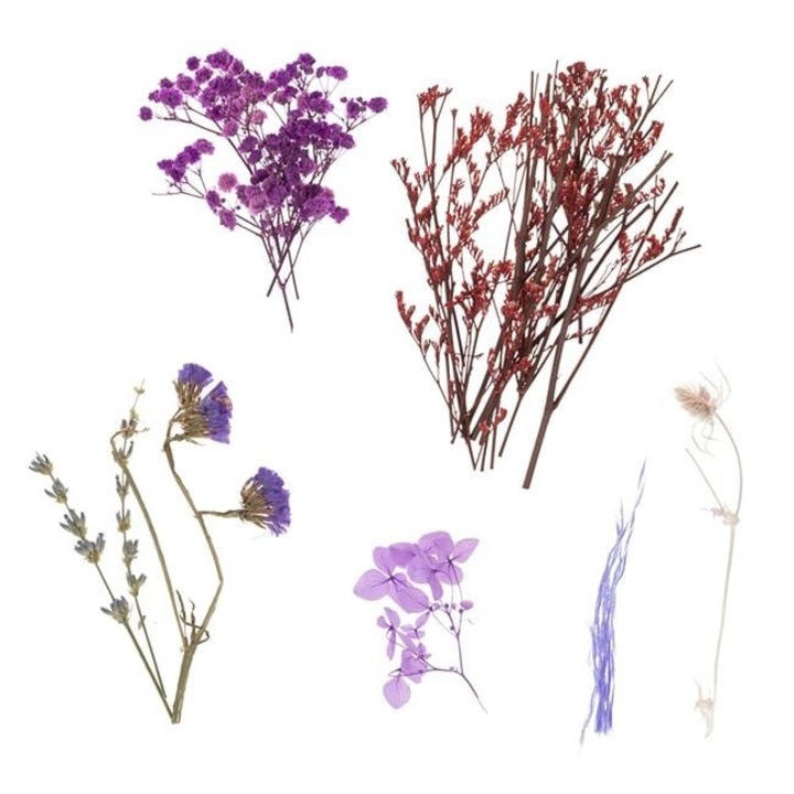 Lila Szárított Virágok Kézműves Alkotásokhoz – 20g Kézzel Készített Projektekhez ANTBRO ®