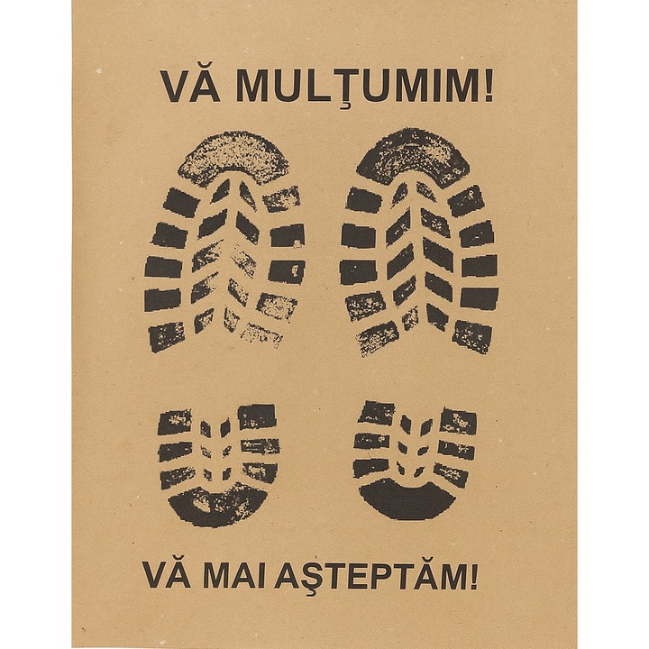 Covorase auto din hartie 460x350 set 250 buc