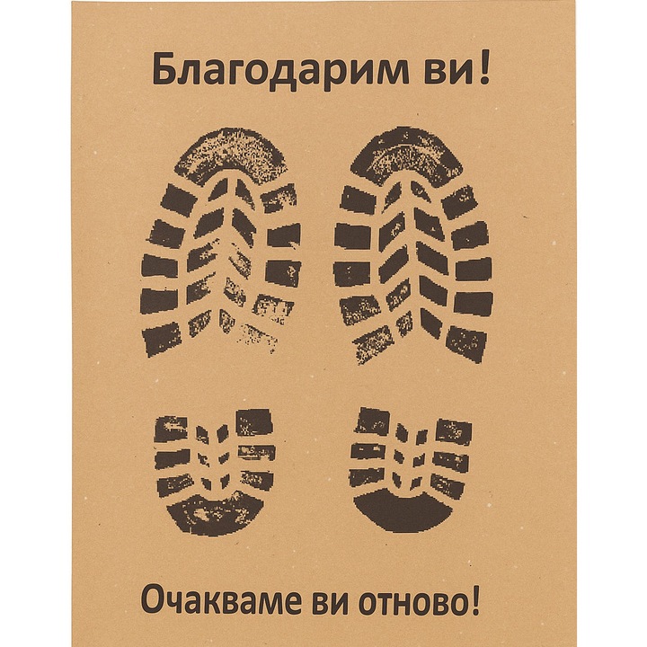 Комплект хартиени стелки за кола от 250 части