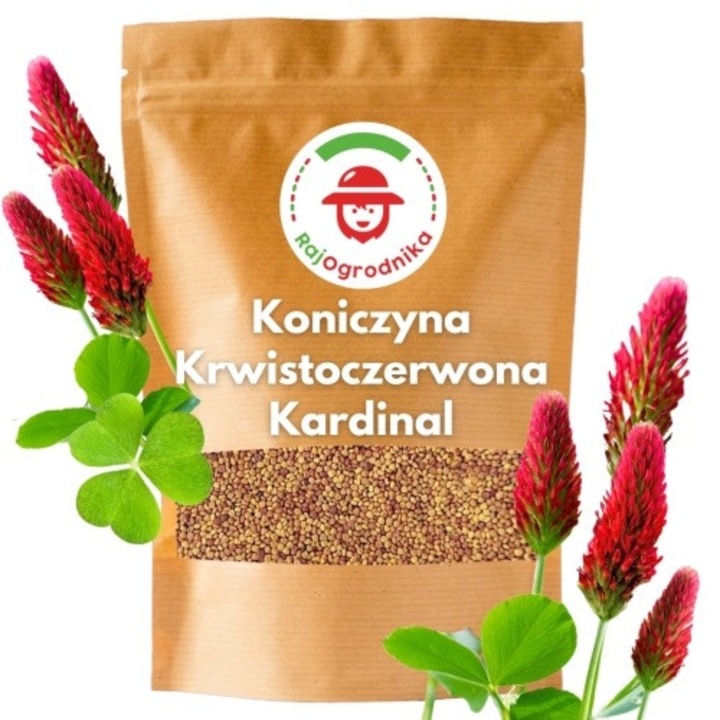 Seminte de gradina, Trifoi rosu de sange Cardinal/ Trifolium incarnatum seminte 500g, calitate superioara, seminte premium, seminte de top