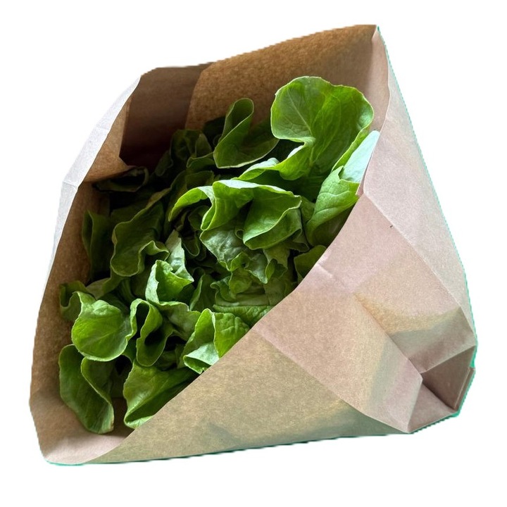 Pungi din hartie cu PE 240/250/80 mm, 1000 buc