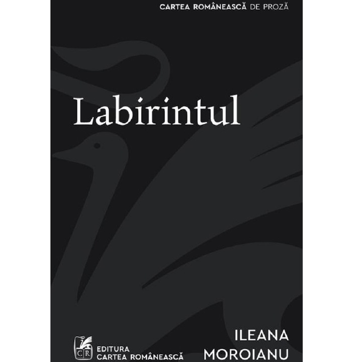 Labirintul, Ileana Moroianu