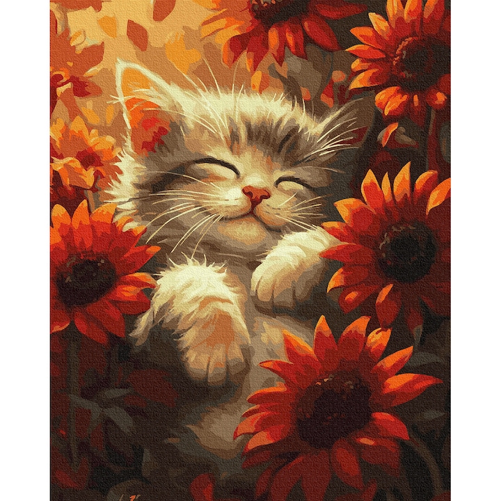 Set pictura pe numere, cu sasiu, Pisica si raza de soare, 40x50 cm
