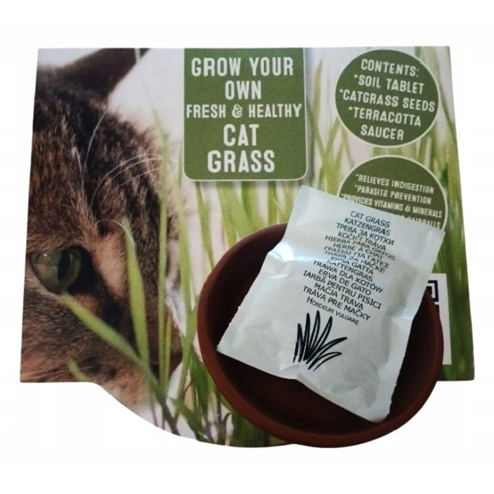 Семена за котешка трева Cardsolitter с мини саксийки, теракота 15 г