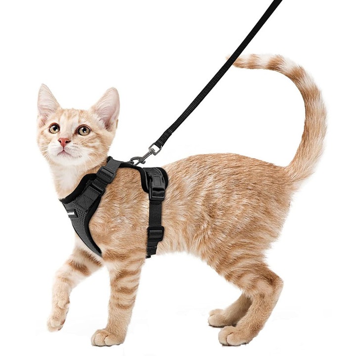 Каишка и нагръдник за котки, Rqiurpn, черен, S, 28-35 см, регулируем, устойчив на бягство