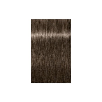 Vopsea permanenta Indola PCC Permanent Caring Color Natural & Essentials 6.1 60ml Vopsea permanenta Indola PCC Permanent Caring Color Natural & Essentials 6.1 60ml