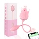 Product option