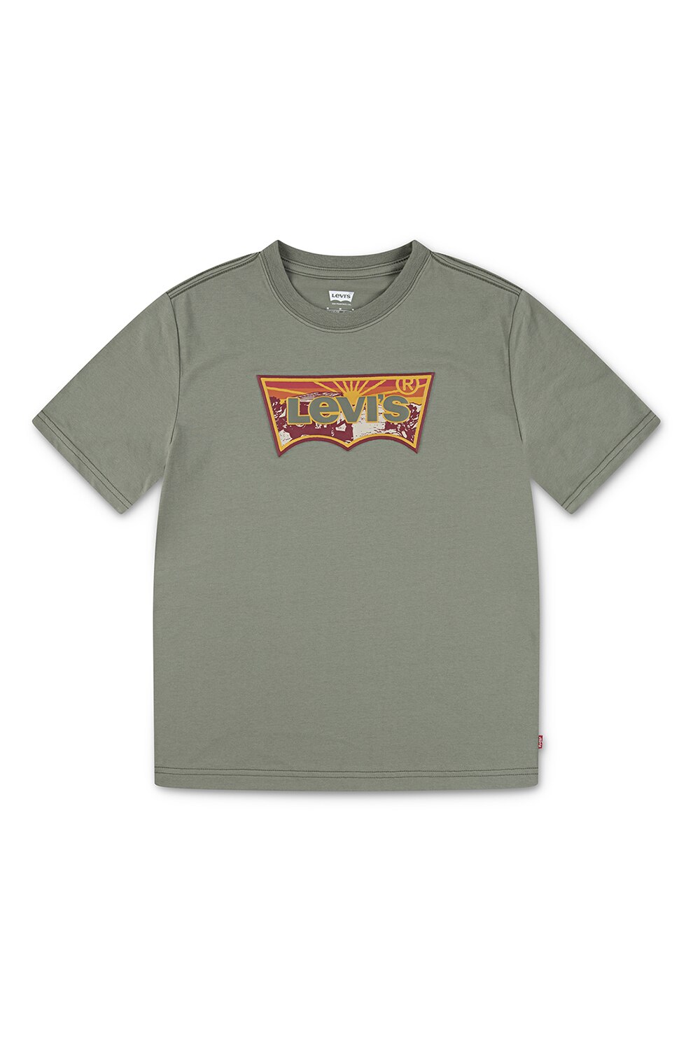 Levi's, Tricou regular-fit cu logo, Verde spranghel, 152 CM