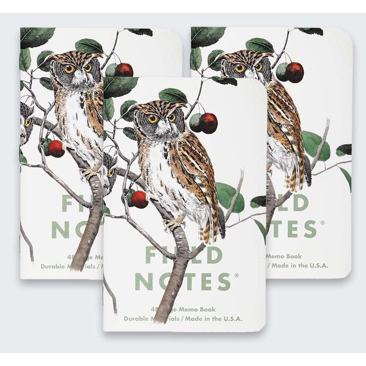 Set de 3 caiete Field Notes 48 pagini, 89x140mm, coperta alba