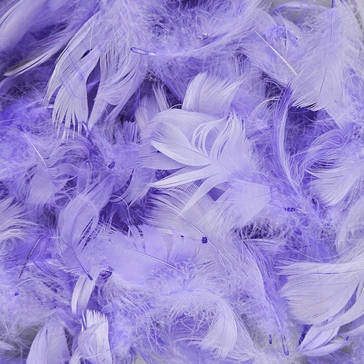 Set De Pene Decorative, Netuno, 100% Plastic, Pentru Decorare, Pentru Ornamente, Pentru Proiecte Creative, DIY, Soft Touch, Multifunctional, Lilac, 10 cm, 6 Bucatiati