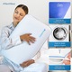 Perna ortopedica NextWave, Spuma cu Memorie, Husa detasabila cu 2 zone termice, 40x60cm, ergonomica pentru Gat si Suport Cervical, Ideala pentru dormitul lateral, spate sau stomac, foarte moale