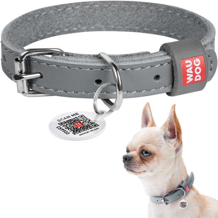 Bőr kutyanyakörv, WAUDOG Classic, szürke, XS, 21-29 cm 12 mm