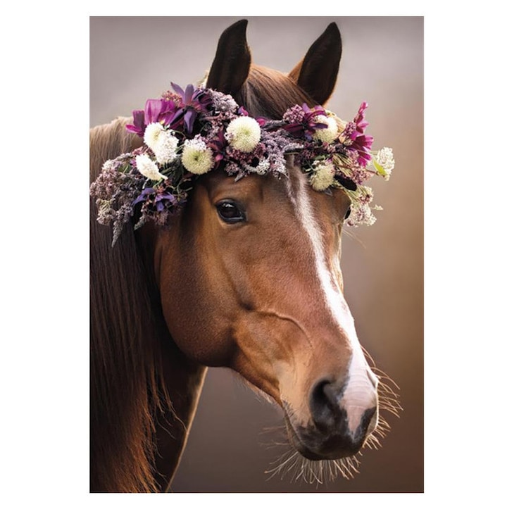 Гумена папка A/4 с конски венец