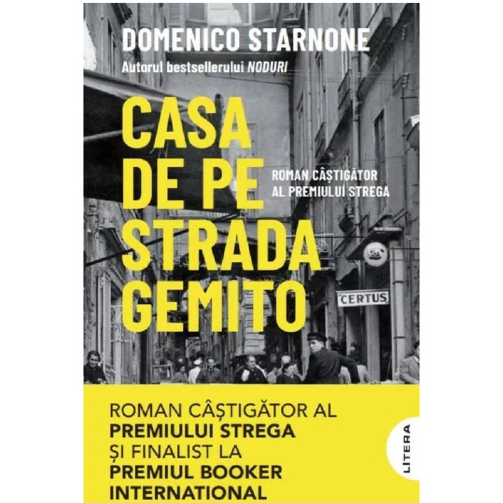 Casa de pe strada Gemito, Domenico Starnone