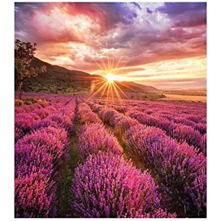 Display LED, Samsung IF025H-E, 2, 5 x 2, 5 mm, 1000 cd/m, negru, 480x540x65mm