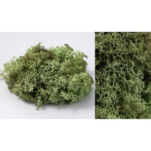 Plante artificiale