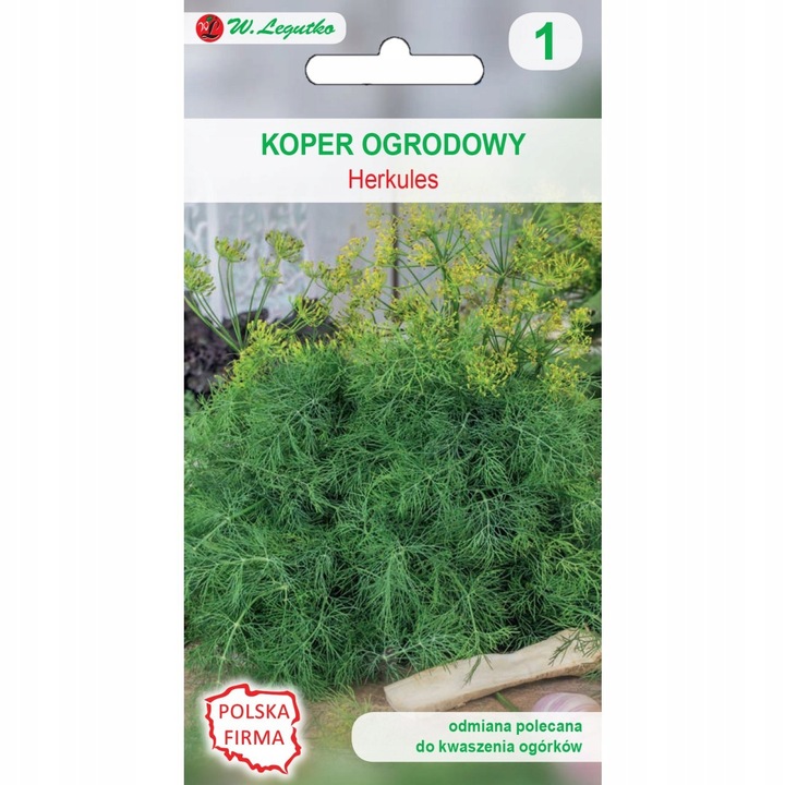 Seminte de marar, Legutko, 5g, soi timpuriu, 90-110cm, pentru condimente