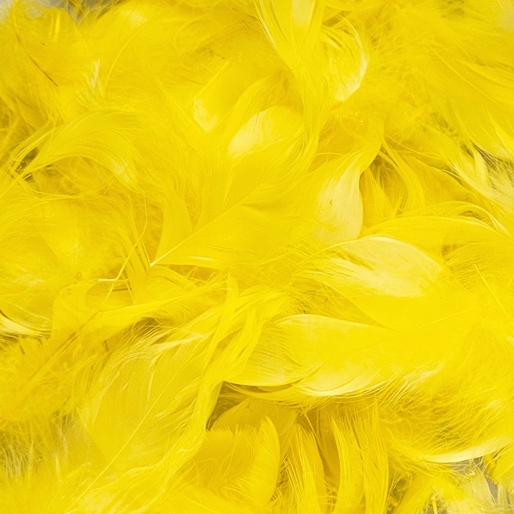 Set De Pene Decorative, Netuno, 100% Plastic, Pentru Decoratiuni, Pentru Ornamente, Pentru Proiecte Creative, DIY, Soft Touch, Multifunctional, 10 cm, Galben, 6 Bucatiati