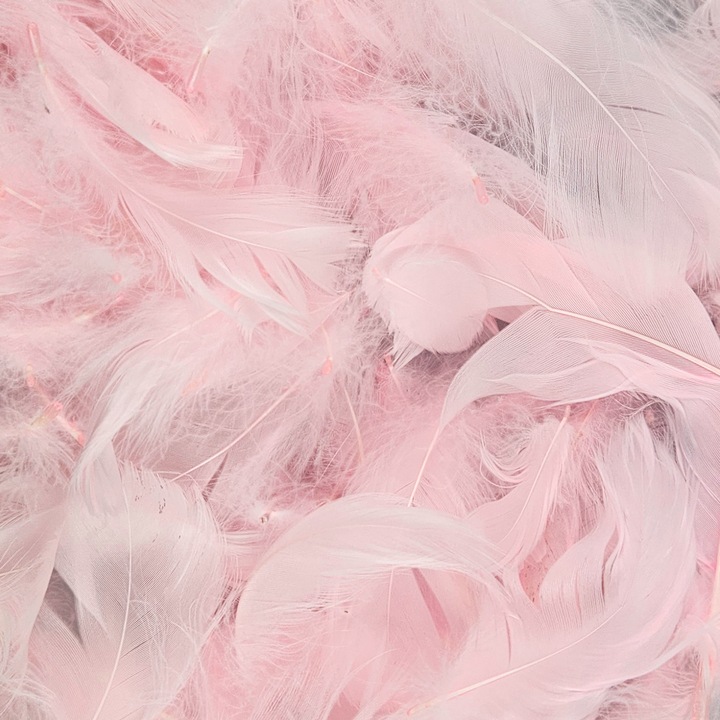 Set De Pene Decorative, Netuno, 100% Plastic, Pentru Decoratiuni, Pentru Ornamente, Pentru Proiecte Creative, DIY, Soft Touch, Multifunctional, 10 cm, Roz, 6 Bucatiati