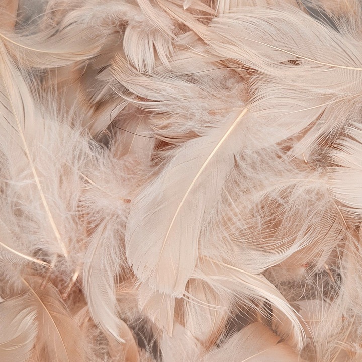 Set De Pene Decorative, Netuno, 100% Plastic, Pentru Decorare, Pentru Ornamente, Pentru Proiecte Creative, DIY, Soft Touch, Multifunctional, 10 cm, Nude, 6 Bucatiati