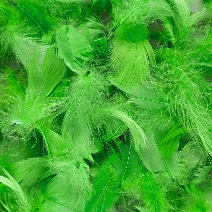 Set De Pene Decorative, Netuno, 100% Plastic, Pentru Decoratiuni, Pentru Ornamente, Pentru Proiecte Creative, DIY, Soft Touch, Multifunctional, 10 cm, Verde, 6 Bucatiati