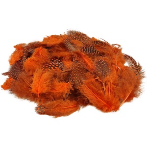 Accesorii decorative