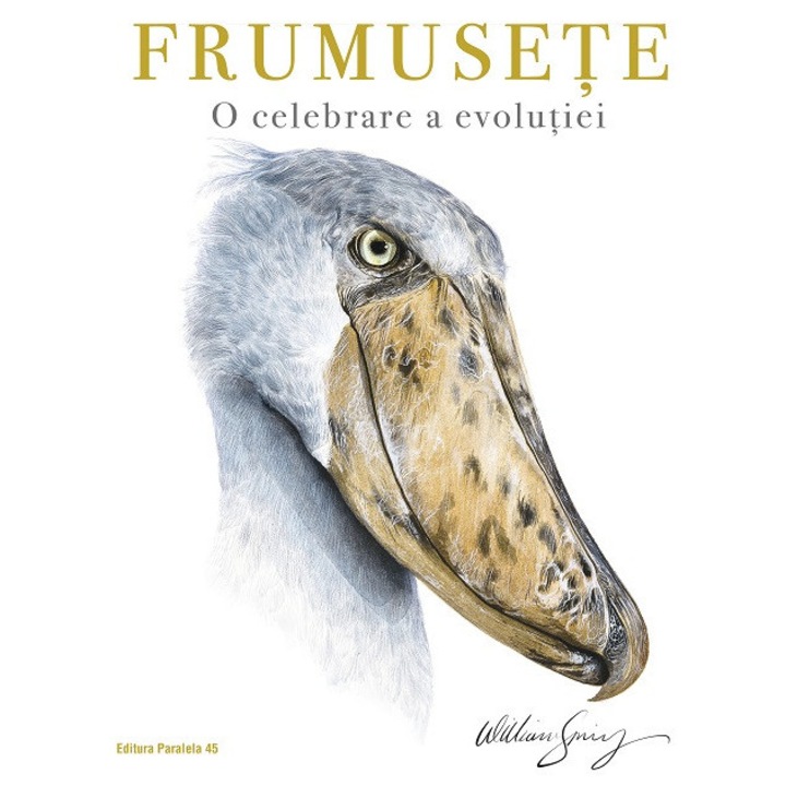 Frumusete. O celebrare a evolutiei - Spring William