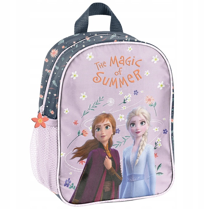 Set rucsac si accesorii PASO Frozen, 5 piese, roz, dimensiuni rucsac 28x22x10cm, dimensiuni sac 38x34cm, dimensiuni portofel 12x8x2cm, bidon 19x8,5x9cm, cutie pranz 17x11x7cm