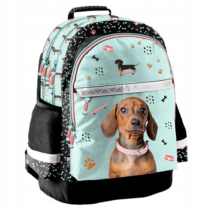 Iskolatáska PASO, többszínű, 19l, 42x29x17cm