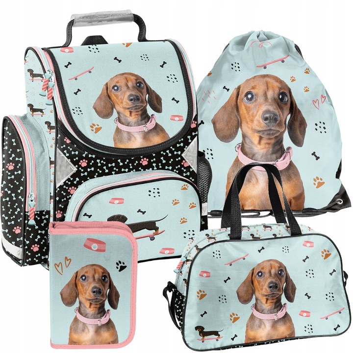 Ghiozdan scolar PASO, model caine, 1 compartiment, spate intarit, set 4 piese, 41x27x15cm