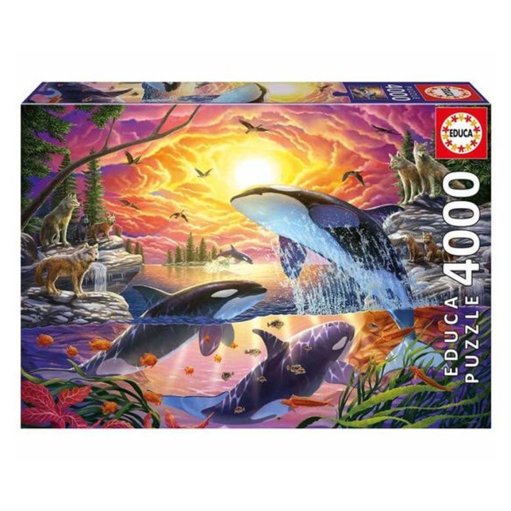 Educa 4000 db-os puzzle - Orkák és farkasok (20259)